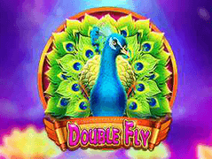 Double Fly screenshot